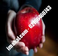 نهال سیب ردمریکال ژنوتیپ | ۰۹۱۲۰۴۶۰۳۵۴ مهندس سوهانی | خرید نهال سیب ردمریکال ژنوتیپ | فروش نهال سیب ردمریکال ژنوتیپ | قیمت نهال سیب ردمریکال ژنوتیپ